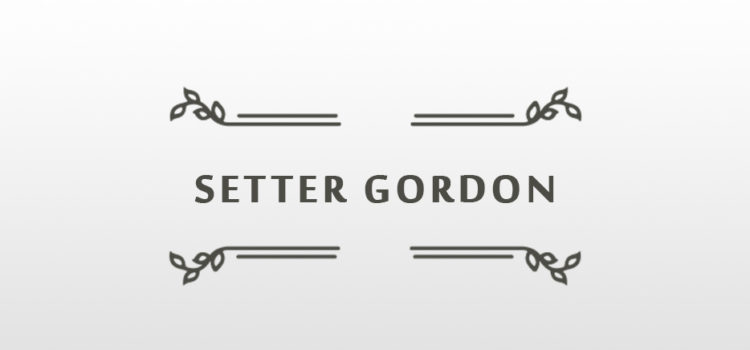 Setter Gordon: caratteristiche di lavoro, il commento del dott.Giovanni Pastrone, 1937